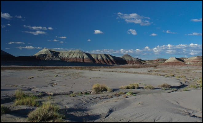 Petrified Forest and Painted Desert National Park, Arizona - USA
